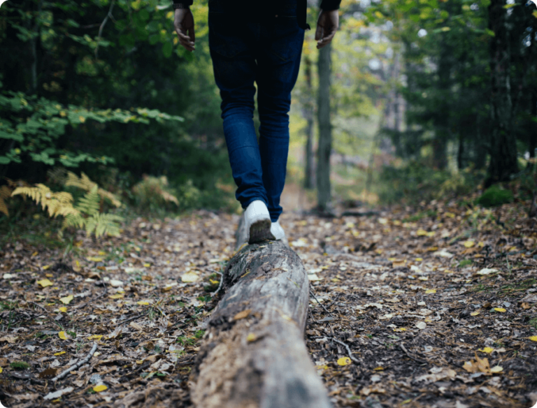 Stroll amid nature