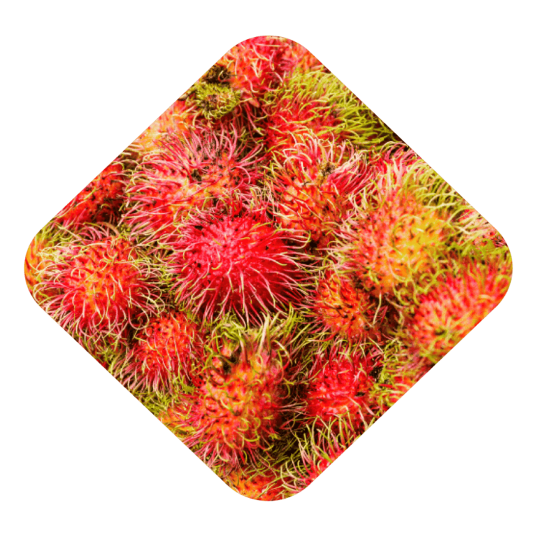 Rambutan