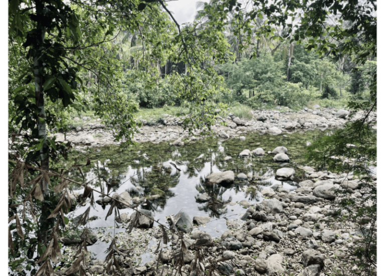 Silent Valley