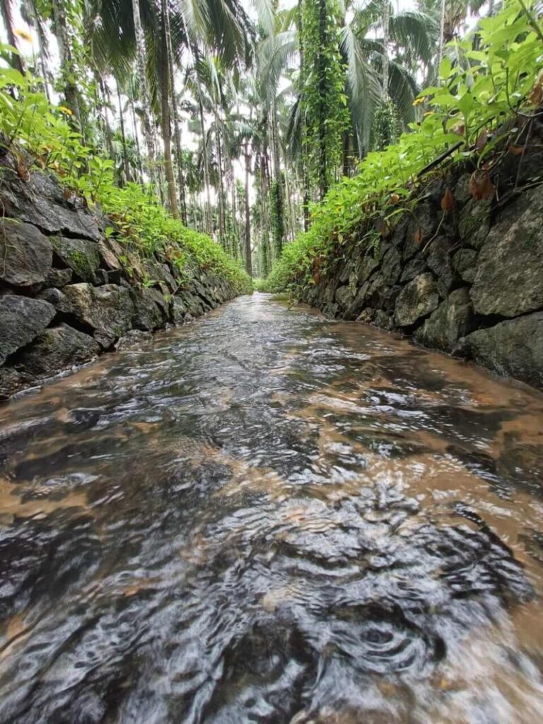Stream