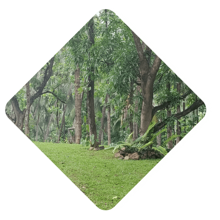 Homestay in Kanhirapuzha near Palakkad